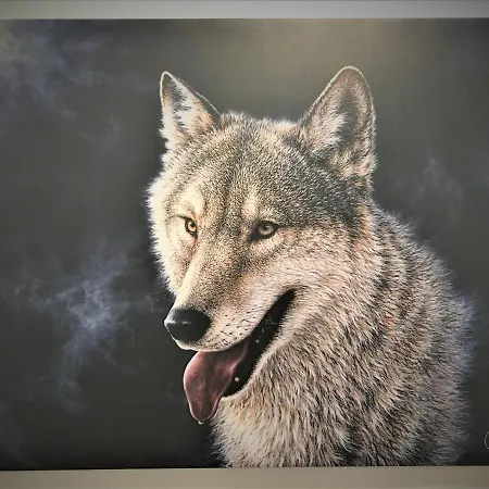 White Wolf Apartment-2